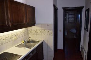 Kuchyňa alebo kuchynka v ubytovaní Appartement Sonnleitn + 12 fotografií