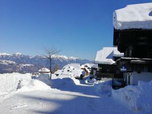 Appartement Sonnleitn im Winter