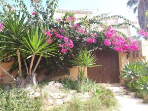 Zahrada ubytování Gozo Holiday Home -Tranquil and Serene