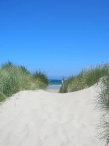 a sandy beach with grass and the ocean in the background at Casa Mar e Sol. Rinboy , in Ballyhoorisky