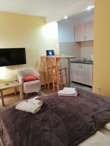 a living room with a large bed and a kitchen at Apartment Matovic in Kragujevac