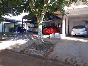 un árbol frente a un estacionamiento con coches en Bungalow anita Nº 3 en Colón