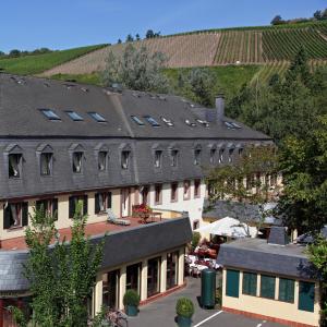 einen Blick über eine Stadt mit Gebäuden und Bäumen in der Unterkunft Blesius Garten in Trier