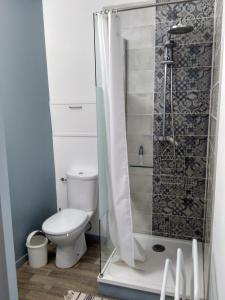 ein Bad mit einem WC und einer Dusche in der Unterkunft La maison du Plo in Fabrezan