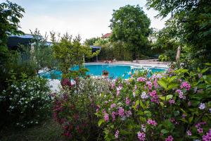 una piscina con fiori viola di fronte di Albergo La Primula a Potenza