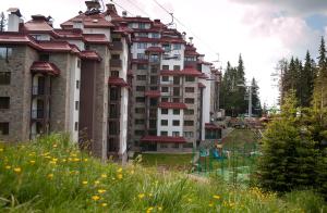 Zahrada ubytování Complex Kamelia