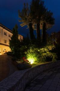 Giardino di Albergo La Primula