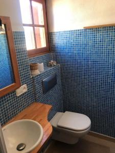 ein blau gefliestes Badezimmer mit Toilette und Waschbecken in der Unterkunft Espectacular apartamento cerca de Barcelona con free wifi in Canet de Mar