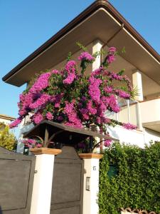 a hanging basket of pink flowers on a house at La Bouganville di Sante e Rosa in Manoppello