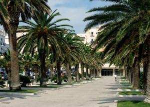 a row of palm trees on a sidewalk at Hotel Yria in Vieste