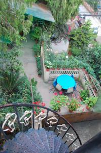 Zahrada ubytování Souvenir Guest House + 23 fotografií