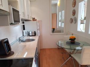 Kuchyň nebo kuchyňský kout v ubytování Penthouse Modena