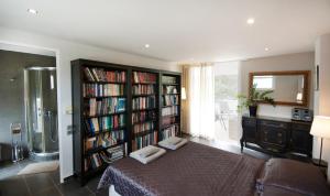The library in Az apartmant