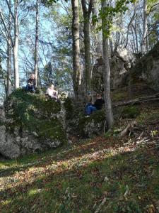 a group of people sitting on a rock in the woods at Pension Landhaus Ingrid B&B in Loich