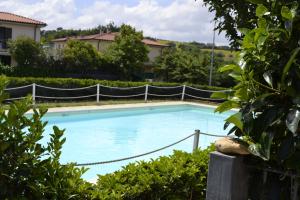 a large blue swimming pool next to some bushes at Gugliormella in Sirolo