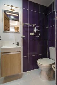 a bathroom with a toilet and a sink and a mirror at Capricorn by Otantik Suites in Istanbul