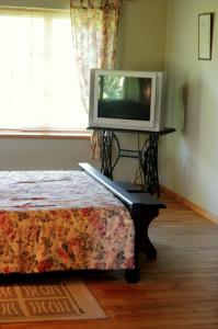 a tv sitting on a table in a room with a bed at Brīvdienu māja Kažoki in Ēdole
