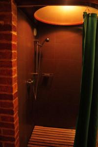 uma casa de banho com um chuveiro e uma cortina verde em Brīvdienu māja Kažoki em Ēdole