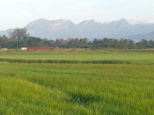 a field with a red barn and mountains in the background at MYHome@Langkawi in Pantai Cenang