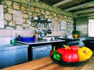 une cuisine avec un bol de légumes sur un comptoir dans l'établissement Villas Panorama Apolpaina Lefkas, à Apolpaina