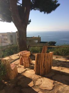 una panchina e un albero con l'oceano sullo sfondo di Bahía Pelícanos a Horcón