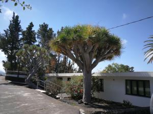 Zdjęcie z galerii obiektu Casa dos Dragos w mieście El Paso