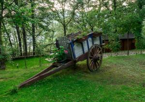 una estatua de un carro de madera en un campo en Cabañas de Madera Sanabria, en Vigo de Sanabria