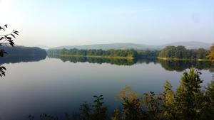 a view of a lake with trees and mountains in the background at Domki całoroczne Bieszczady Panasiewiczówka in Odrzechowa