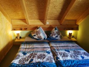a bed in a small room with two pillows at Erzgebirgsferienwohnung in Tellerhäuser +13 photos