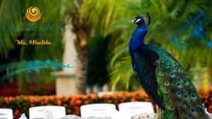 a peacock statue sitting on a pile of rocks at La Ensenada Beach Resort in Tela +37 photos