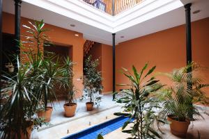 a room filled with lots of plants and a pool at New Amor de Dios in Seville