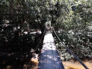 un puente colgante en medio de un bosque en Live Hostel, en Paraty