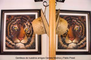 two framed pictures of tigers hanging on a wall at Villa El Refugio in Potrerillos