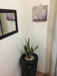 Fotografie z fotogalerie ubytování ESTILO APARTMENT 2-storey v destinaci Loculan