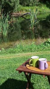 two coffee cups on a picnic table next to a pond at Crystal Springs Holiday Accommodation in Walpole