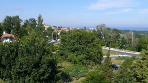 uitzicht op een straat met bomen en een weg bij Villa Climate Guest House in Varna