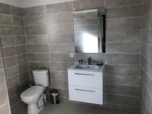 a bathroom with a toilet and a sink and a mirror at L’île aux Bateaux in Buzet-sur-Baïse