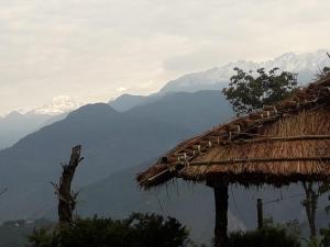 a hut with a view of a mountain at Vamoose Soshing Homestay in Ravangla