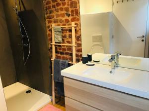een badkamer met een wastafel en een douche bij Le saxo cuivré in Dinant