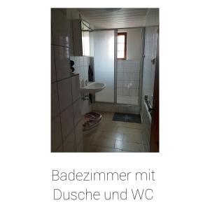 a bathroom with a shower and a sink and a toilet at Ferienhaus Schäfer in Gerstungen