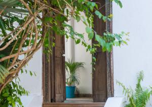 a mirror in a room with plants at The Seyyida Hotel and Spa in Zanzibar City