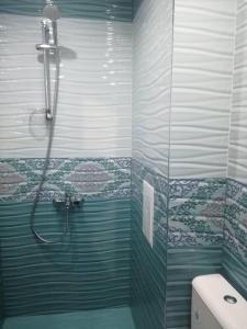 a bathroom with a shower and a toilet at Fashion Apartments in Sandanski