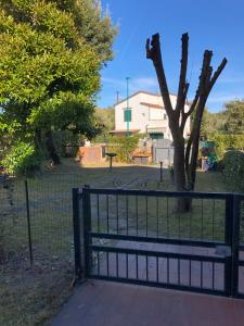 A garden outside Gelso