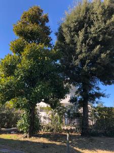A garden outside Gelso