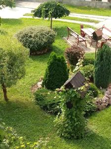 Zahrada ubytování Apartment Flora Arandjelovac