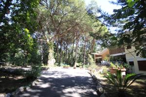 Zahrada ubytování B&B baia d'argento (NUOVA bahia di buzios)