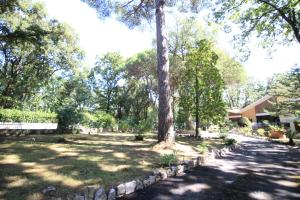 Zahrada ubytování B&B baia d'argento (NUOVA bahia di buzios)