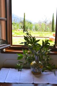 eine Vase, die auf einer Fensterscheibe mit einer Pflanze sitzt in der Unterkunft Monte A Pescia in Pescia