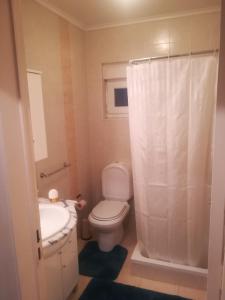 a bathroom with a toilet and a sink and a shower at Casa Nogueira in Travancinha