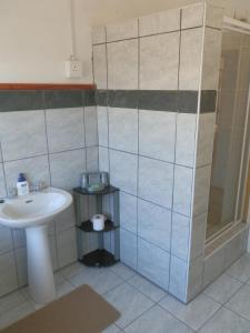 a bathroom with a sink and a shower at Towerzicht Guest House in Ladismith